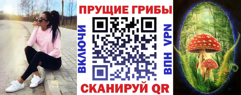 Псилоцибиновые грибы Psilocybine cubensis Кемь
